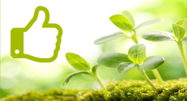 Positive Leadership Practices Sprouting Plants Thumbs Up